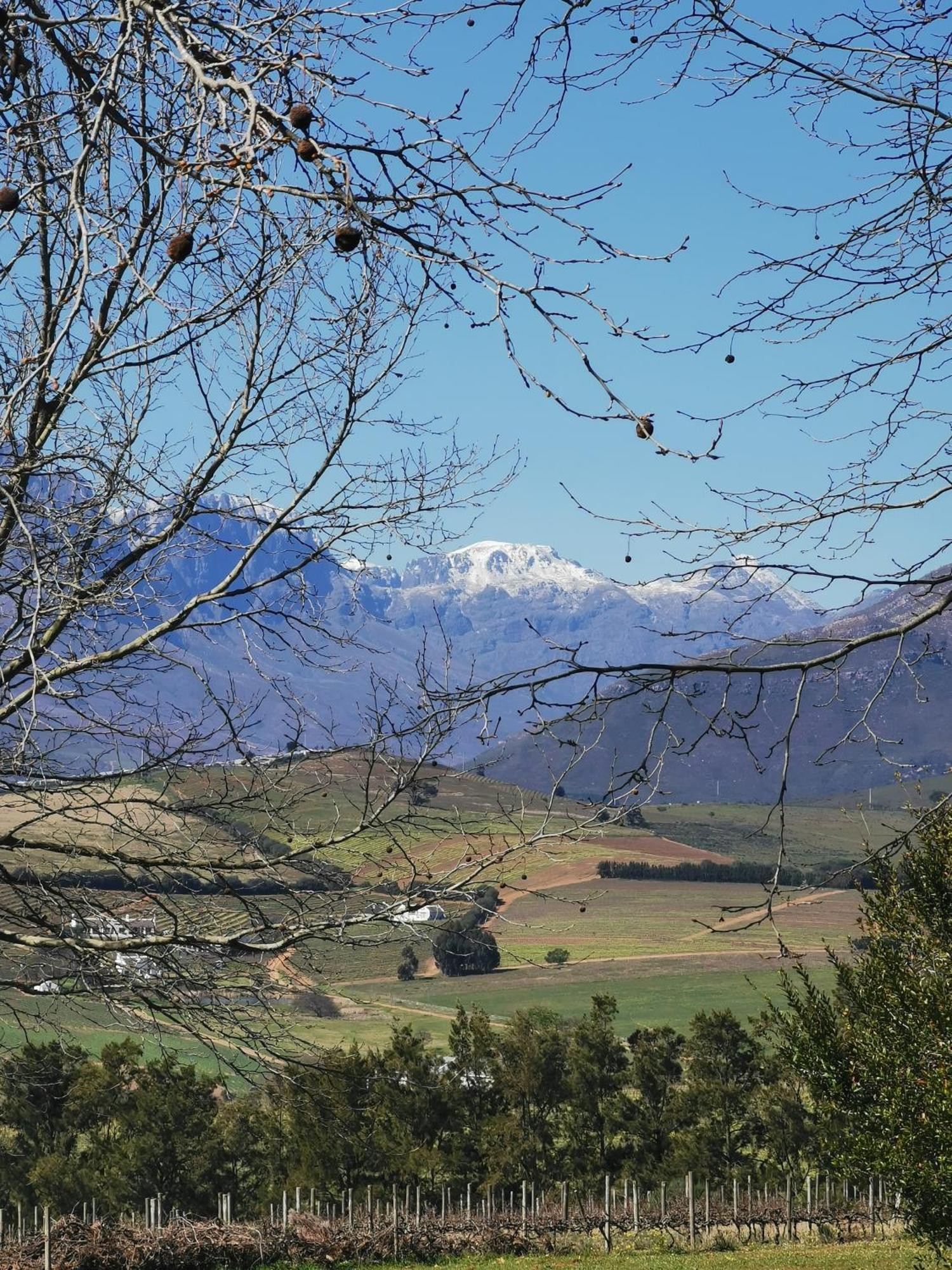 Vila Gemoedsrus Farm Stellenbosch Exteriér fotografie